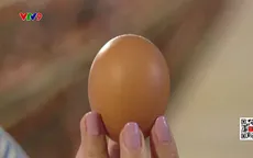 Pháp: Nhu cầu trứng gà tăng vọt