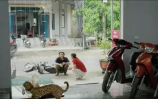 Có anh, nơi ấy bình yên – Tập 38: Cường gà bị dồn vào thế khó, Linh rô ra tay thao túng